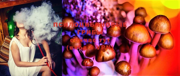 прущая мука Белокуриха