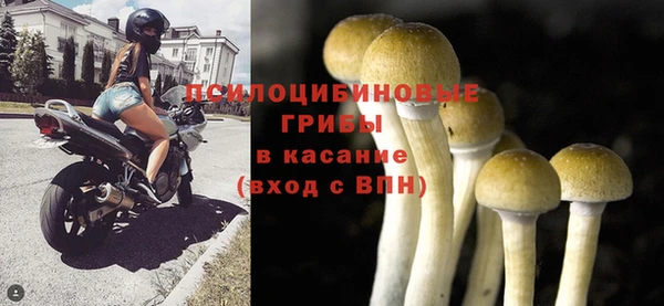 прущая мука Белокуриха
